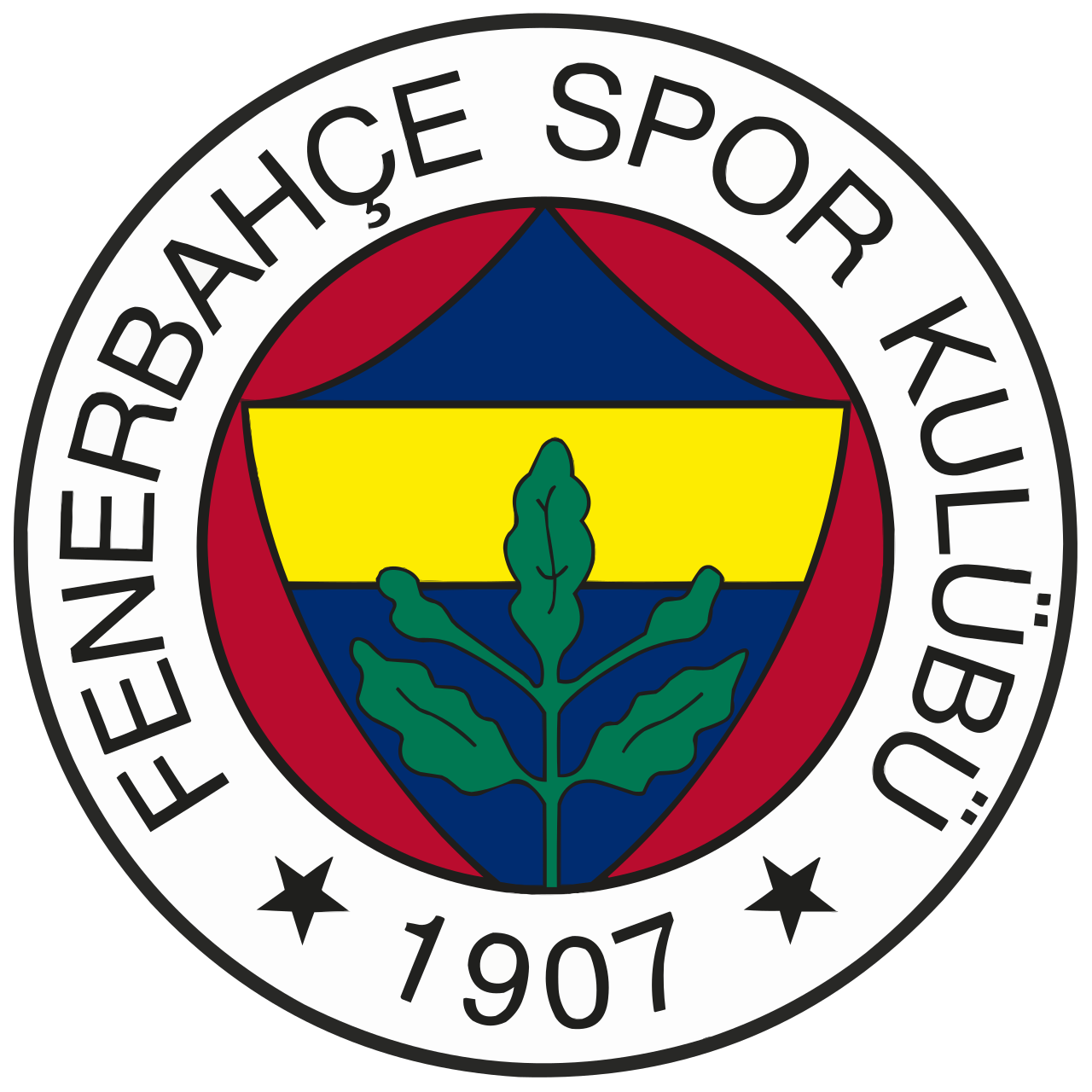 Fenerbahçe On TV: Which Channels Broadcast Upcoming Games?